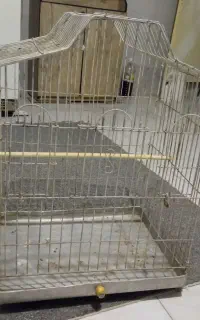 قفس پرنده