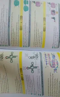 فرمول بیست زیست دوازدهم رنگی کاملا نو