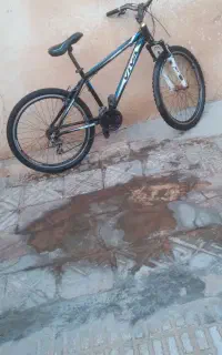 دوچرخه
