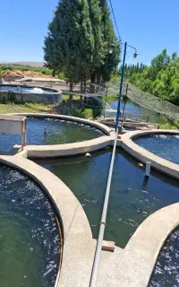 نگهبان دائمی برای پرورش ماهی