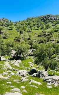 عکاسی دهدشت
