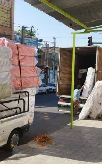 تشک رویا پخش عمده
