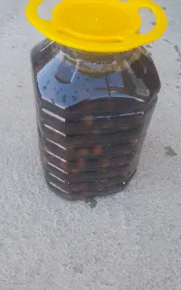 ترشی سیر ۷ ساله