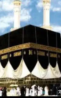 فروش یک عدد فیش حج تمتع