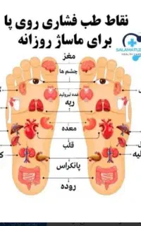ماساژور با تجربه (اقا )
