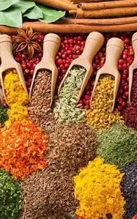 استخدام راننده نیسان