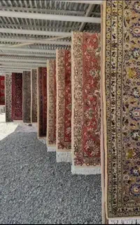 قالیشویی نجفی ۳۲۸۲۴۰۵۰