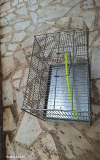 قفس پرنده