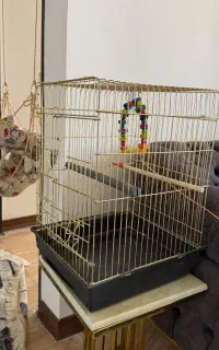 قفس