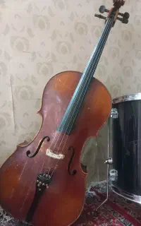 ویلنسل دستساز