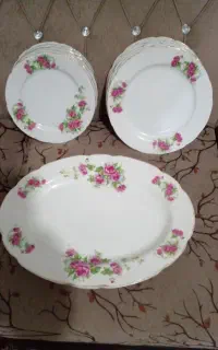 ظروف پذیرایی