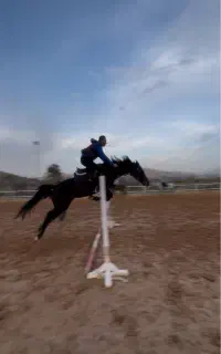 اموزش سوارکاری،پانسیون، گشت هفتگی