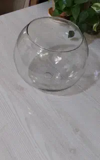 تنگ شیشه ای