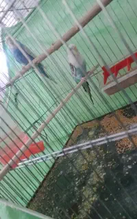 ۱۰۰۰۰۰۰۰