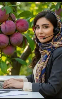 فروش نهال گردو بادام بیدمجنون صنوبرگیلاس به گلدانی