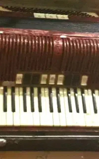 آکاردئون 120 باس Hohner گیتار کلاسیک Jiter