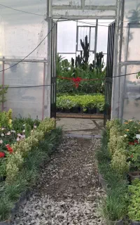 افتتاح کلینیک تخصصی دکتر سعیدی پویا