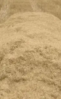 کاه گندم امسال