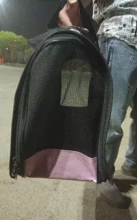 باکس گربه