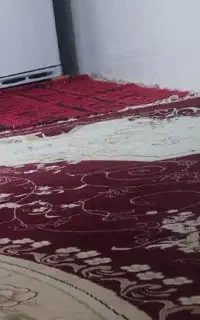 همخونه خانم