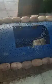 جک ۲۲۰ واس کار دریا     جک حشیشه ای