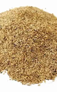 کنجد روغنی درجه ۱