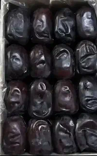 خرما