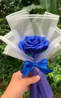 گل رز جاودان