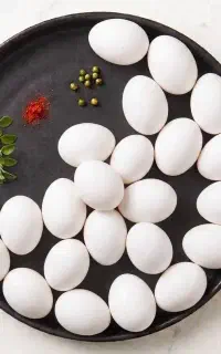 تخم مرغ