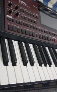 ارگpa700