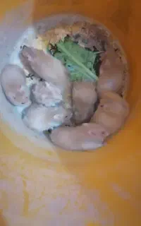 همستر فروشی