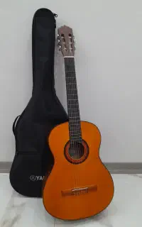 گیتار کاملا نو