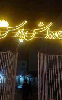 نیرو کار برای کارواش