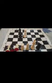 شطرنج فدراسیون