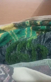دو عدد پتو دونفره