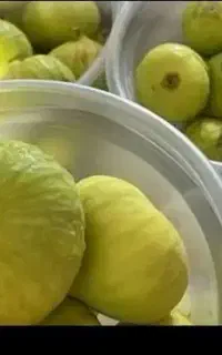 انجیر تازه چین انجیر سفید گرگان کیلویی۱۵۰
