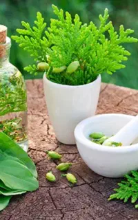 ترک اعتیاد گیاهی
