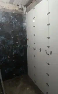 کاشی کاری سنگکاری وتعمیرات