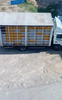 هیوندا مایتی