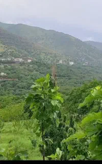 ویلا پاوه پایکوهی ویو عالی
