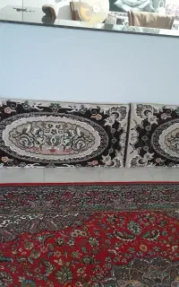 فروش‌پشتی