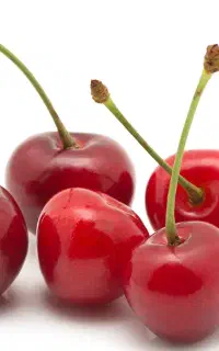 چیدن میوه و اجاره باغ
