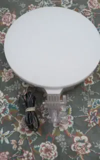 رینگ لایت