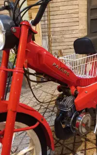 فروش موتورسیکلت گازی پاژنگ