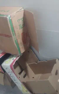 کارتون سالم و محکم برای اسباب کشی