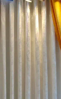 نیازمند همکار خانم