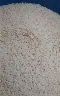 برنج و لاشه هاشمی سورتینگ