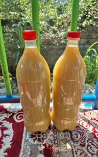 آبغوره طبیعی