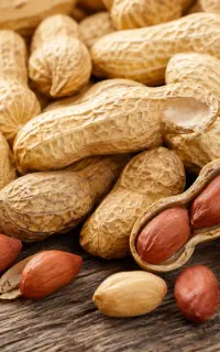 آگهی استخدام نیروی شبانه‌روزی