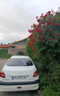 مسافرت به مازندران